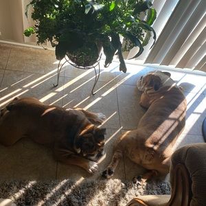 Meet your Posher, Lexi